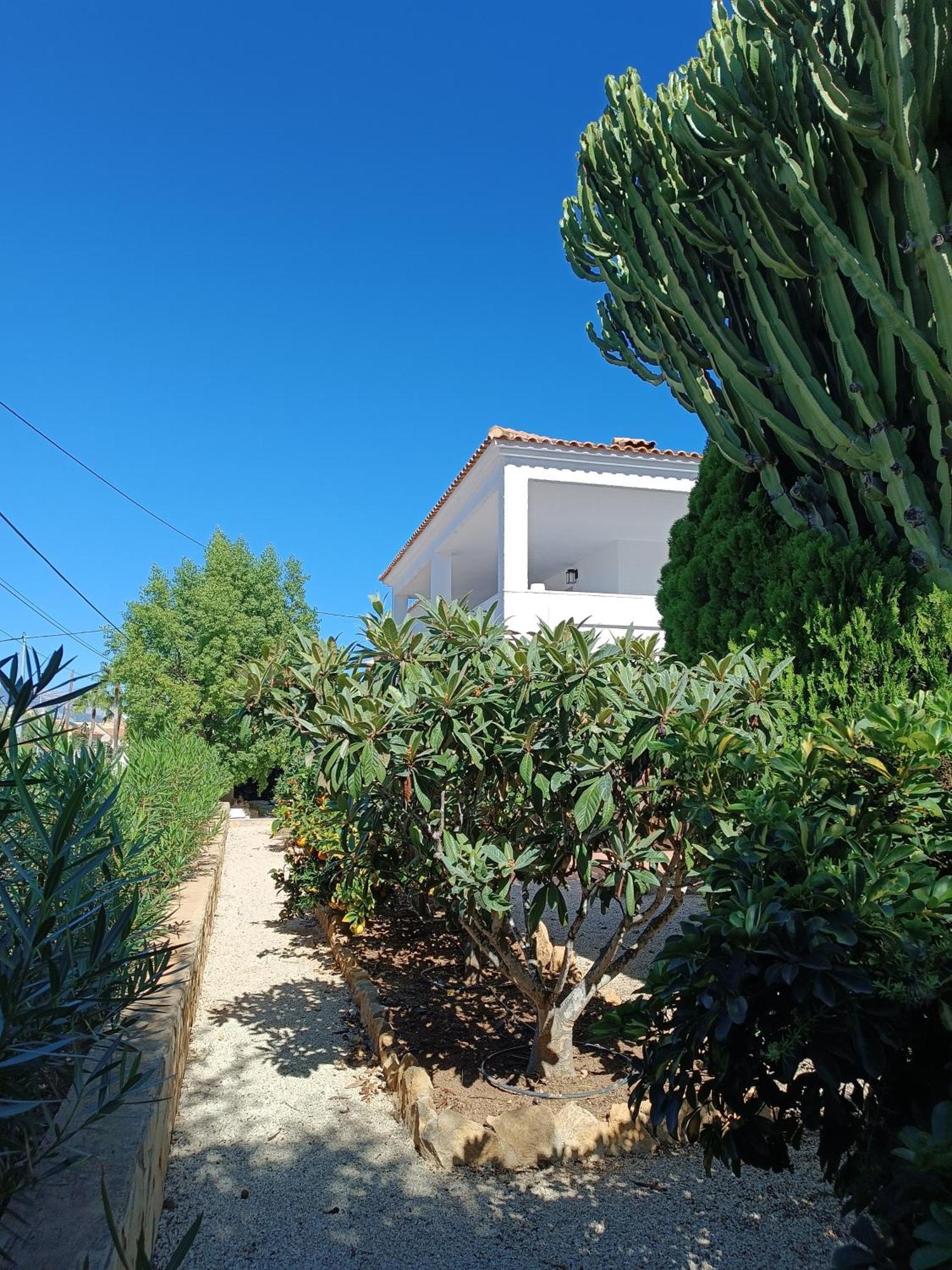 Casa La Siesta Albir Bed & Breakfast El Albir Ngoại thất bức ảnh